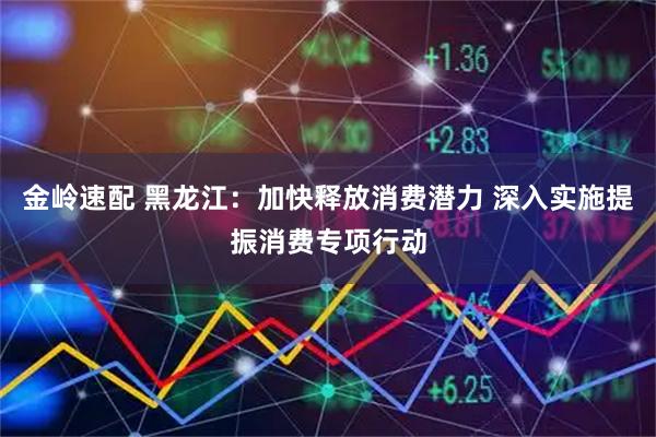 金岭速配 黑龙江：加快释放消费潜力 深入实施提振消费专项行动