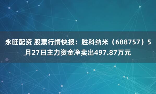 永旺配资 股票行情快报：胜科纳米（688757）5月27日主力资金净卖出497.87万元