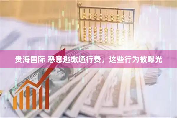 贵海国际 恶意逃缴通行费，这些行为被曝光