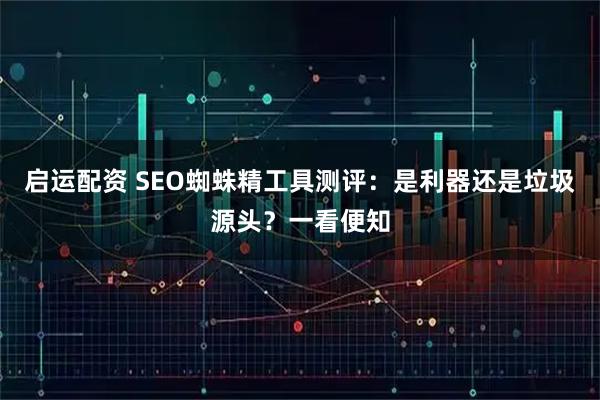 启运配资 SEO蜘蛛精工具测评：是利器还是垃圾源头？一看便知