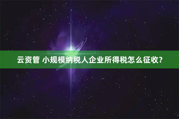 云资管 小规模纳税人企业所得税怎么征收？