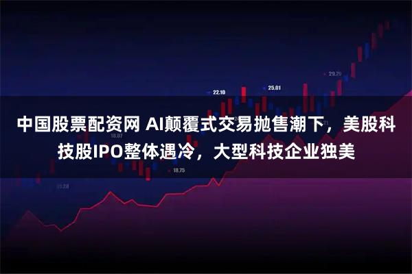 中国股票配资网 AI颠覆式交易抛售潮下，美股科技股IPO整体遇冷，大型科技企业独美