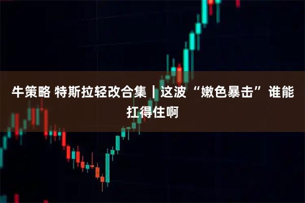 牛策略 特斯拉轻改合集｜这波 “嫩色暴击” 谁能扛得住啊