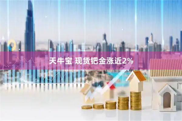 天牛宝 现货钯金涨近2%