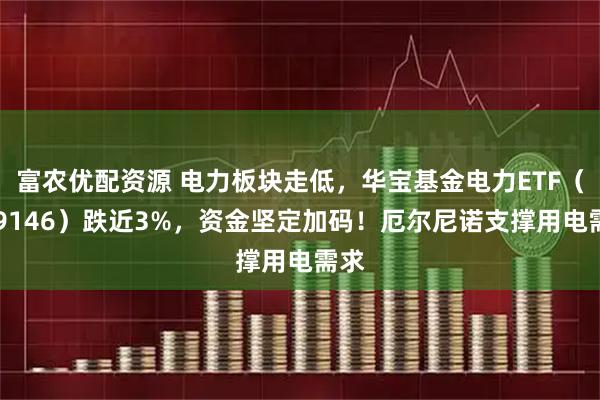富农优配资源 电力板块走低，华宝基金电力ETF（159146）跌近3%，资金坚定加码！厄尔尼诺支撑用电需求